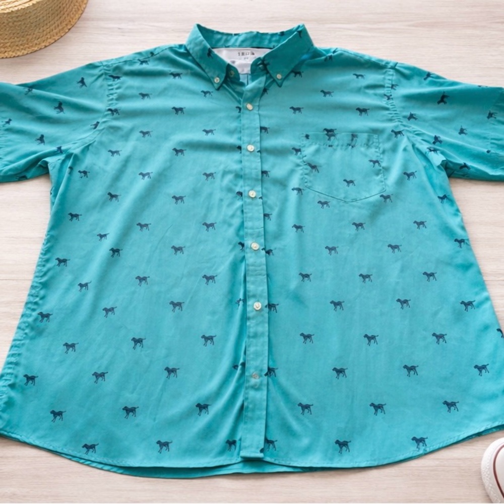 Men's IZOD Aqua Button-Down Shirt with Dog/Lab Print
